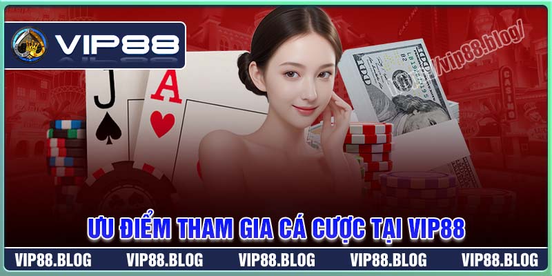 Những ưu điểm nổi trội hơn hẳn của nhà cái VIP88 Những ưu điểm nổi trội hơn hẳn của nhà cái VIP88