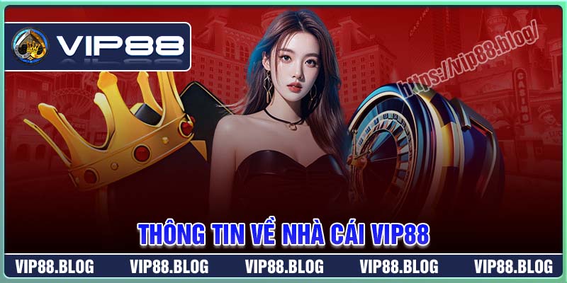 Thông tin tổng quan về nhà cái VIP88 Thông tin tổng quan về nhà cái VIP88